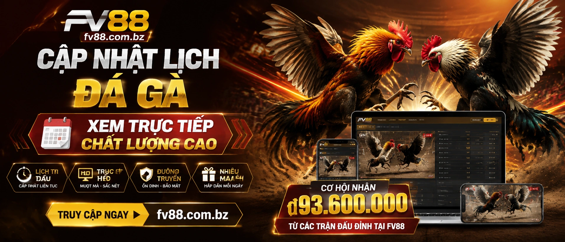 Featured cockfighting interface