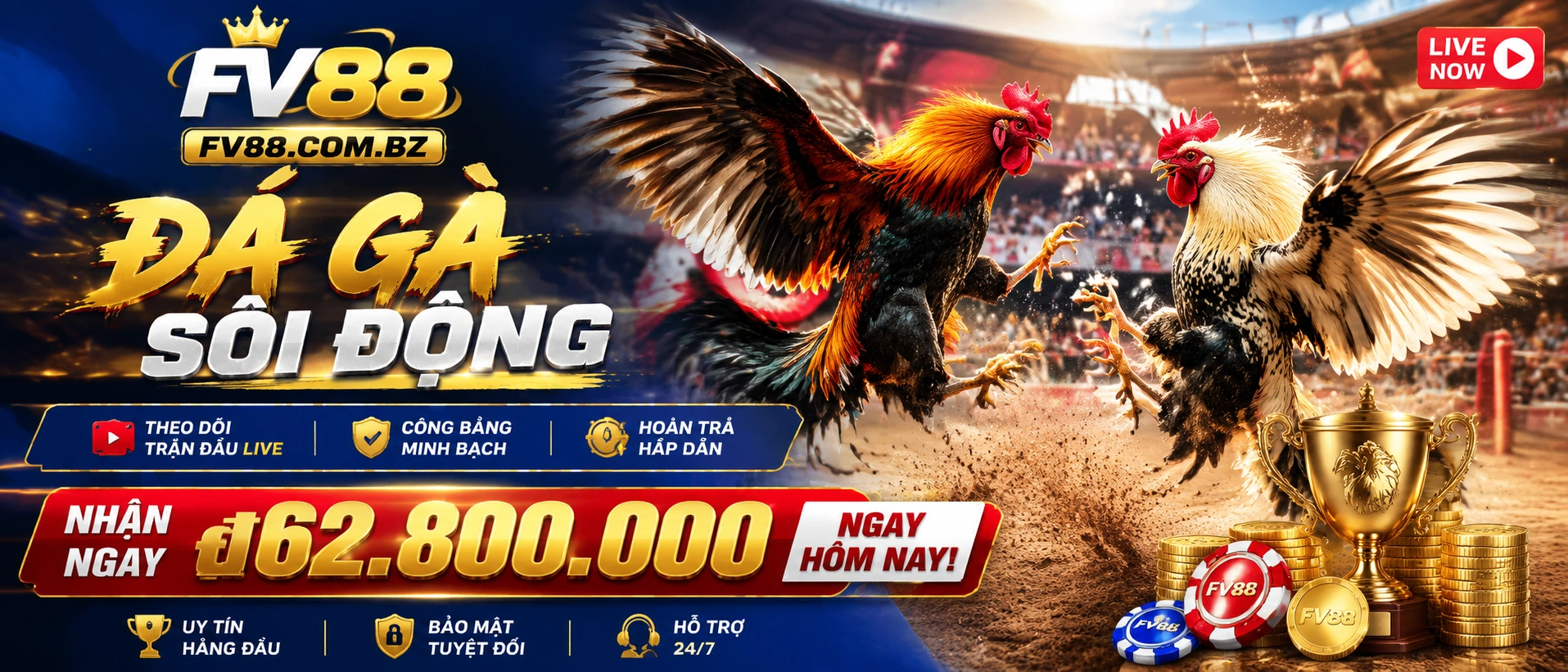 Live match interface